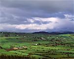 Pastorale scène, près de Whitecross, comté d'Armagh, Irlande