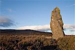 Standing Stone, Farbreaga, Co Waterford, Irlande