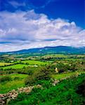 Glen of Imaal, Derrynamuck, Co Wicklow, Irlande