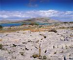 Die Mullaghmore, Burren Clare Irland, Turlough (verschwindende See)