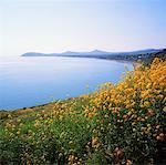 Killiney Hill, Dublin Bay, Co Dublin, Irlande