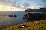 Glencolumbkille, Co Donegal, Irlande