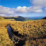 Co Antrim, Plateau Glenariff