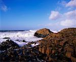 Der Giant's Causeway, Co. Antrim, Irland