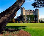 Talbot Gardens Co Dublin, château de Malahide, printemps