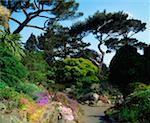 National Botanic Gardens Dublin, The Rock Garden, Mid-Summer