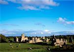 Athassel Abbey, Near Golden Co Tipperary, Between Cashel And Cahir