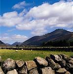 Co Down, Mountains Of Mourne, Above Annalong