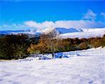 Mauerbach, Wicklow Mountains, Irland