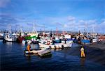 Co Donegal, Burtonport