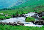 Pêche, la rivière Bundorragh, près de Delphes Co Mayo