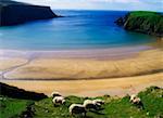 Co Donegal, Silver Strand Malin Beg