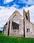 Co Limerick, couvent dominicain 13ème siècle, Kilmallock