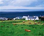 L'île d'Achill, comté Mayo, Irlande