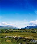 Louisburgh, Co Mayo, Irlande