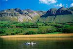 Glencar Lough, County Sligo, Ireland; Swans on lake