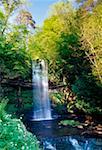 Glencar Waterfall, County Sligo, Ireland; Waterfall and stream