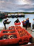 Portmagee, Ring of Kerry, County Kerry, Ireland; Lobster fishermen at work