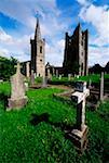 Duleek, County Meath, Ireland; Church and abbey ruins