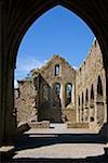 Abbaye de Jerpoint, comté de Kilkenny, Irlande ; Abbaye historique du 12ème siècle