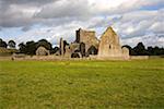 Hore Abbey, Cashel, County Tipperary, Ireland; Abbey ruins in field