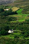 Glengariff, County Cork, Ireland; Aerial of coastal farmland