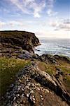 Dunfanaghy, County Donegal, Ireland; Coastal Irish field and seascape
