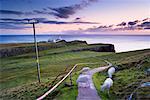 Sheep on Path, Neist Point, Isle of Skye, Scotland