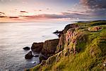 Vue d'ensemble des falaises et des éperons à l'aube, St Abbs Head, St Abbs, Berwickshire, Scottish Borders, Ecosse