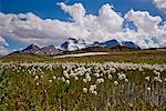 Banff Nationalpark, Alberta, Kanada