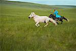 Cavalier chassant le cheval, la Mongolie intérieure, Chine