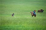 Cavalier chassant le cheval, la Mongolie intérieure, Chine