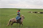 Cavalier, élevage de chevaux, la Mongolie intérieure, Chine