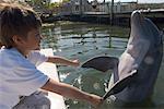 Garçon avec Dolphin, sanctuaire de dauphins de Marathon, Marathon, Floride, États-Unis