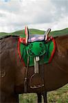 Close-up of Horse's Saddle, Naadam Festival, Xiwuzhumuqinqi, Inner Mongolia, China