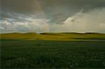 Grasslands Near Xiwuzhumuqinqi, Inner Mongolia, China