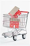 Close-up of two model homes in a shopping cart