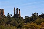 Rock formations in a forest, Sierra De Organos, Sombrerete, Zacatecas State, Mexico
