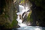 Waterfall in a forest, Puente De Dios, San Luis Potosi, Mexico