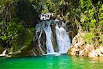 Wasserfall in einem Wald, Tamasopo Wasserfälle, Tamasopo, San Luis Potosi, Mexiko