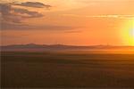 Coucher de soleil sur les éoliennes, la Mongolie intérieure, Chine