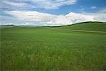 Rural Road Through Grasslands, Inner Mongolia, China