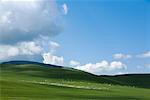 Sheep and Goats Grazing on Grasslands, Inner Mongolia, China