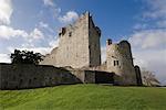 Ross Castle, Kilarney National Park, comté de Kerry, Irlande