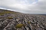 KRAS Topographie, Slieve Rua, Burren Nationalpark, County Clare, Irland