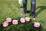 Person Watering Piggy Banks