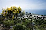 View of Anacapri From Monte Solaro, Gulf of Naples, Capri, Campania, Naples, Italy