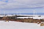 Parc éolien, Gaspasie, Québec, Canada
