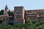 Alhambra, Grenade, Espagne