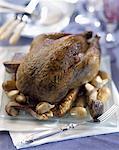 roast capon with ceps and garlic